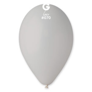 G110: #070 Grey 117004